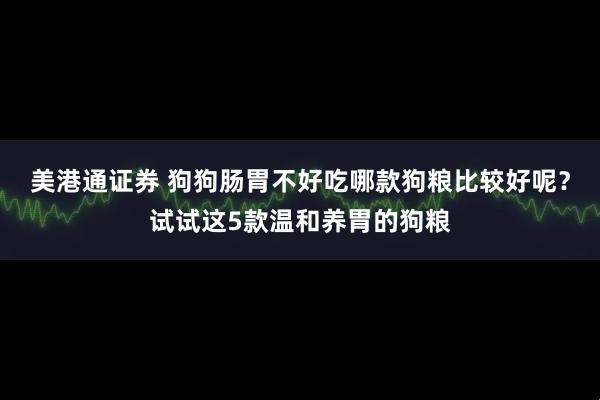 美港通证券 狗狗肠胃不好吃哪款狗粮比较好呢？试试这5款温和养胃的狗粮
