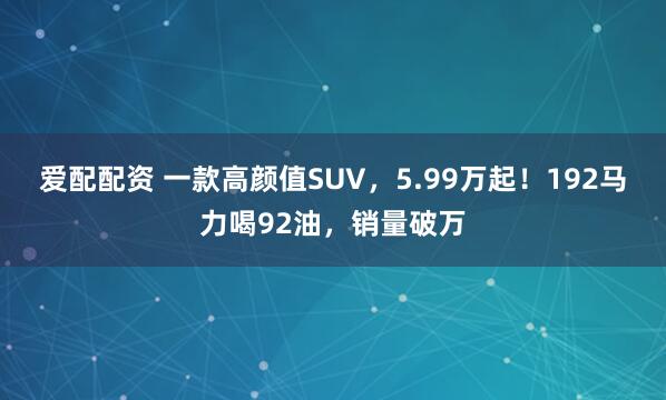 爱配配资 一款高颜值SUV，5.99万起！192马力喝92油，销量破万
