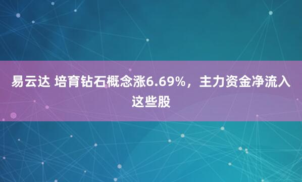 易云达 培育钻石概念涨6.69%，主力资金净流入这些股
